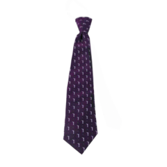 with White and Lavender Purple Samuel the Lamanite Book of Mormon Tie for Boys ages 8-14 LDS Tie